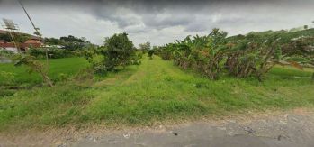 CAFE dan Kost, Tanah Maguwo Jogja, Ringroad Utara