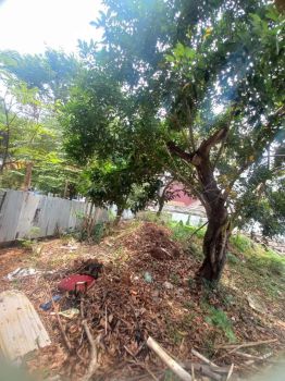 TANAH CILANDAK BARAT JAKARTA SELATAN