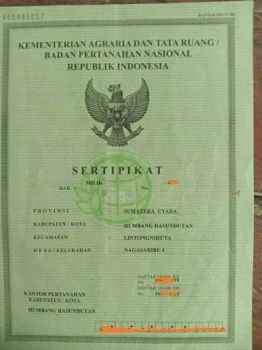 Dijual Kebun Kopi Dekat Jalan Lintas Sumatera