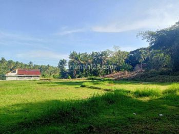 Investasi Tanah Exit Toll Kulon Progo, Jogja