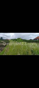 TANAH VIEW SAWAH ABADI DI LODTUNDUH UBUD