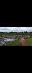 thumbnail-tanah-view-sawah-abadi-di-lodtunduh-ubud-4