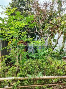 Tanah DIJUAL Dalam Perumahan Uniga Merjosari. Dekat Masjid Tidak Sampai 1 KM. 2