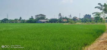 Di jual tanah darat sawah di desa karang mukti karang bahagia cikarang
