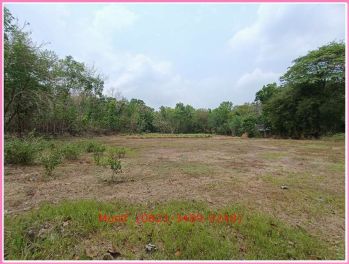 Dekat Wisata Puncak Sosok, Tanah Murah Bawuran Pleret Bantul