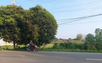 Tanah Luas Murah Pinggir Jalan Utama Kota Bandar Lampung