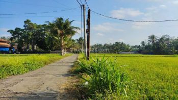 Dijual lahan di Tengkulak kemenuh view sawah dan sungai