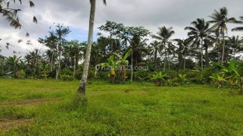 Dijual Tanah lingkungan pedesaan di Pupuan view hutan hutan