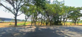 Dijual Cepat dan Murah Sawah Tepi Jalan Raya Ngawi-Maospati