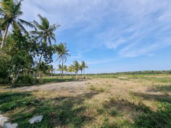 Kawasan Bnadara YIA Jogja, Cocok Guesthouse Pun Hunian Pribadi