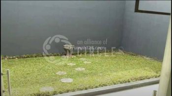 Cantik Jelita Rumah Bertaman Bikin Ceria, Dijual 2lt di Cigadung