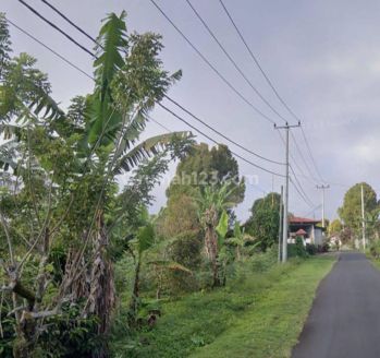 Tanah view gunung dan lembah di Wanagiri Singaraja Bali