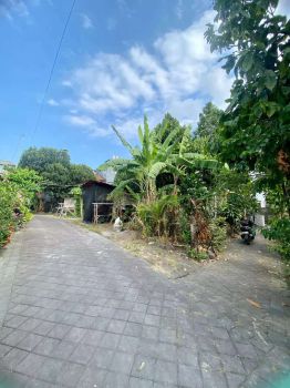 Jual tanah 2.5are dicepaka mas dalung utara badung