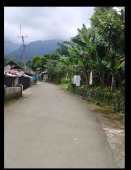 Tanah Murah di Ciapus