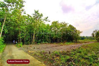 1 Jutaan Dekat Pasar Sentolo Baru, Tanah Investasi