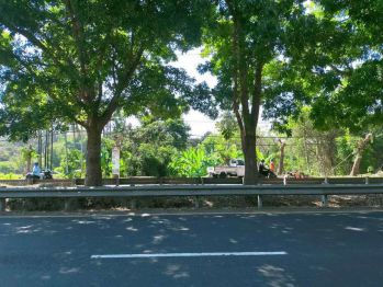 Tanah Jalan Utama Bypass Ib Mantra Saba, Gianyar