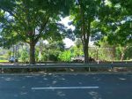 thumbnail-tanah-jalan-utama-bypass-ib-mantra-saba-gianyar-0