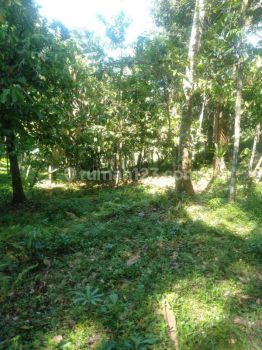 Sell Tanah: BEAUTIFUL LAND