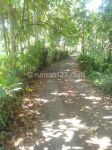 thumbnail-sell-tanah-beautiful-land-3