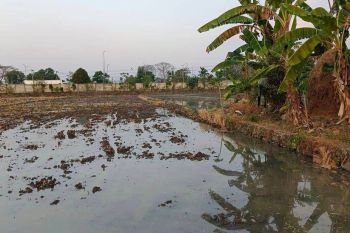 RUMAH DI CITRALAND BUKIT PALMA