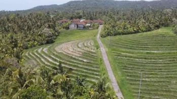 tanah full view laut abadi dan terasering sawah akses jalan 5 meter