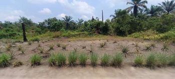 Sell Tanah: JUAL TANAH PEKANBARU