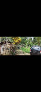 TANAH SEWA CENTER UBUD COCOK RESORT DAN HOTEL