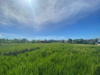Dijual Tanah Lokasi Pantai Berawa, Canggu, Udb 026
