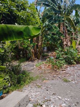 DIJUAL TANAH KALIJUDAN TARUNA SURABAYA TIMUR