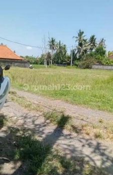 Hot List Di Jual Tanah Lokasi Lodtunduh Ubud Gianyar
