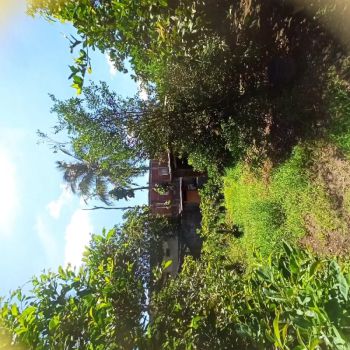 Sell Rumah: Rumah dan tanah