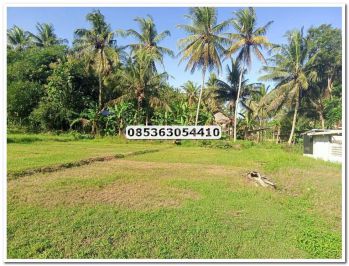 80 Jutaan, Tanah Kawasan Industri Kulonprogo Jogja