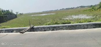 Di jual sawah di jalan raya desa karang mukti karang bahagia cikarang