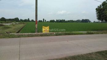 Dijual Tanah Sawah Jatireja Subang Jawa Barat