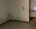 thumbnail-dijual-rumah-kontrakan-3-pintu-baru-direnovasi-2