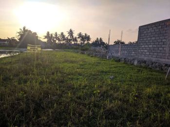 Disewakan tanah barat kampus UMY samping resto sambal bakar jl bunga