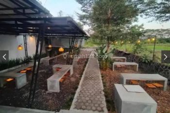 Cafe Resto Disewakan Area Bagus Masih View Sawah Dekat Ke Sch Mall Pemda Sleman