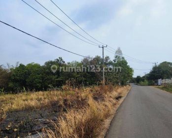 Tanah Harga Murah Di Padasuka Kec. Maja Lebak Banten