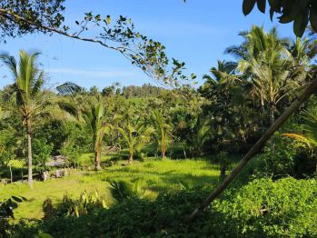 Tanah kebun + sawah view bukit dan sawah terasering di bali