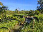 thumbnail-tanah-kebun-sawah-view-bukit-dan-sawah-terasering-di-bali-1