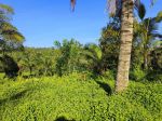 thumbnail-tanah-kebun-sawah-view-bukit-dan-sawah-terasering-di-bali-4