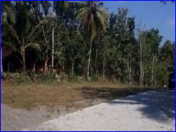 Tanah Dekat Bandara YIA di Jl.Kyai Ronggo Pengasih