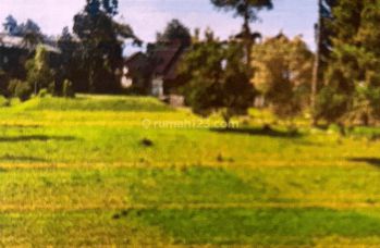 Teja Sukmana Tanah Bangunan Murah Banget di Megamendung Bogor