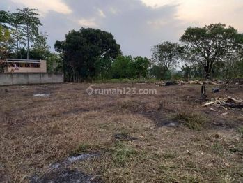 Lahan Kaveling Area Tangkil Citeureup Siap Akad.hanya 2 Jutaan m