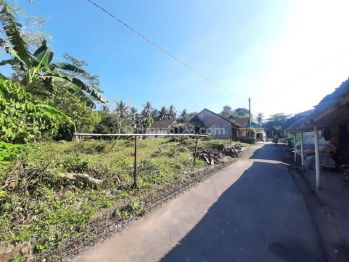 2,250jt M2 Tanah Utara Uii Jogja Di Jl.kaliurang Tanah Murah