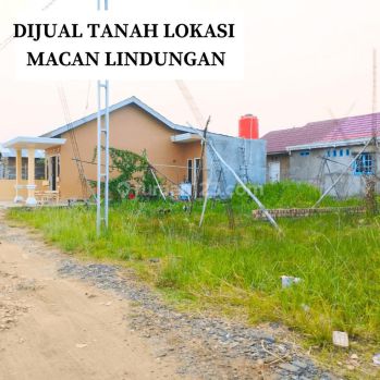 Dijual Tanah Area Perumahan Lokasi Macan Lindungan