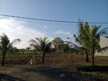 2 Jutaan, Kavling Dekat Rsud Bogor. Cicil 12x Tanpa Bunga