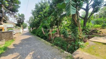 Tanah Dekat Kampus Undip Tembalang Cocok Untuk Investasi