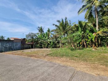 Spot Invest Dan Hunian Dekat Bandara Yia Jogja, SHM Pekarangan