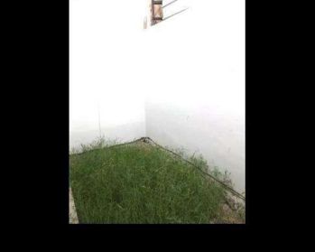 Cluster beryl..gb.b/06-25